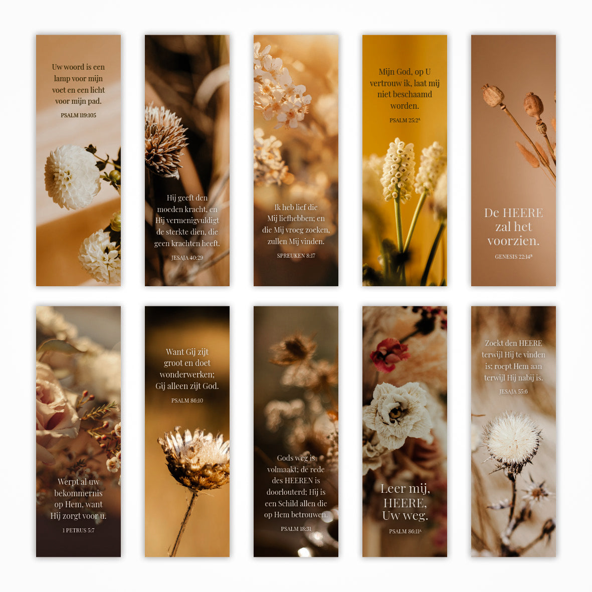 Set mini fotokaartjes